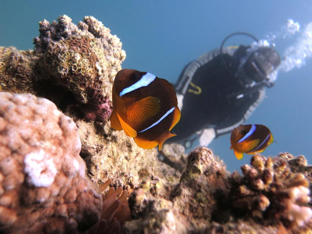 Bait Alaqaba Resort Luaran gambar