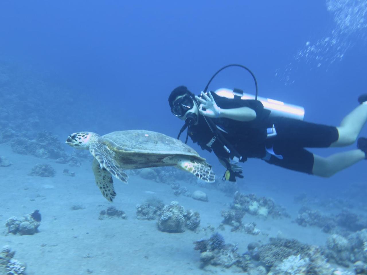 Bait Alaqaba Resort Luaran gambar