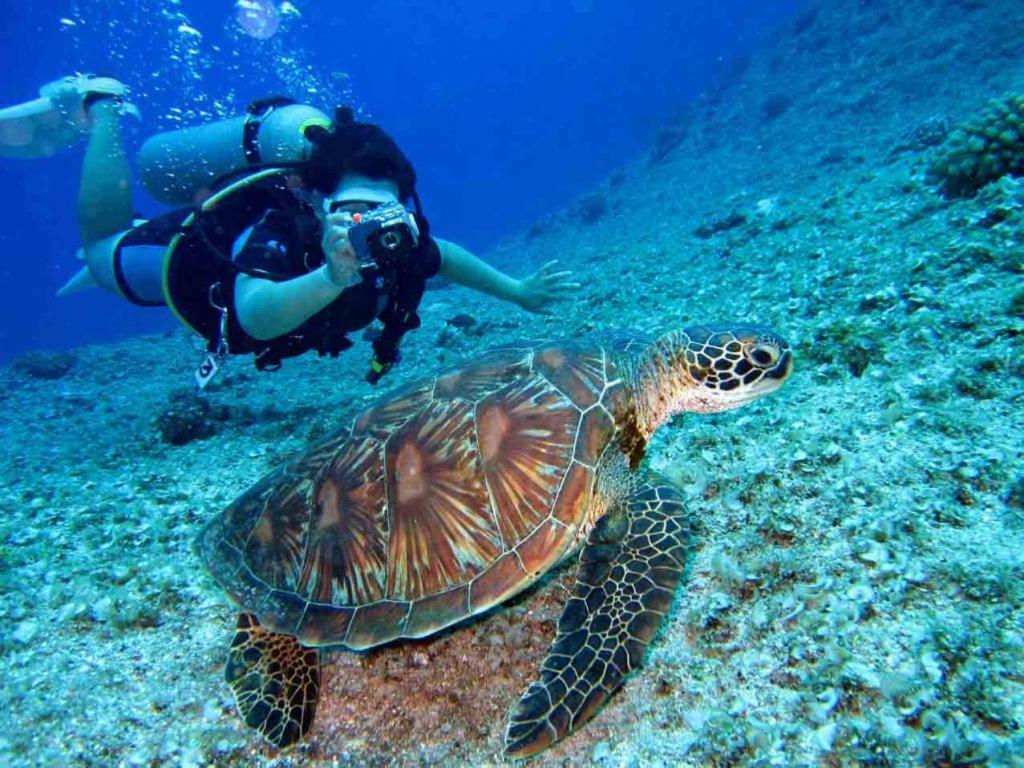 Bait Alaqaba Resort Luaran gambar